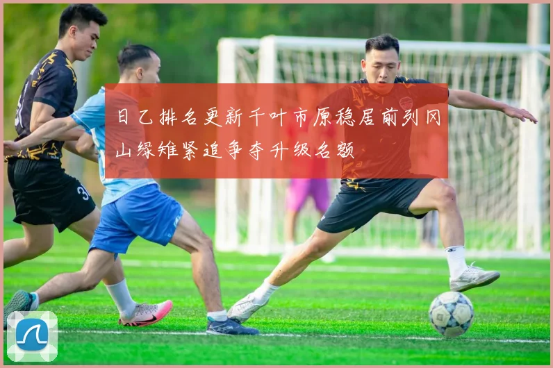 日乙排名更新千叶市原稳居前列冈山绿雉紧追争夺升级名额